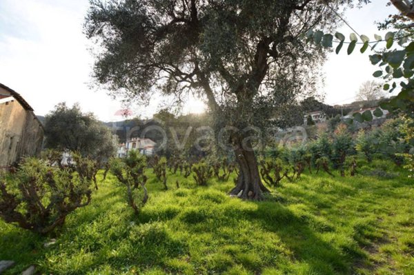 casa indipendente in vendita a Magliolo