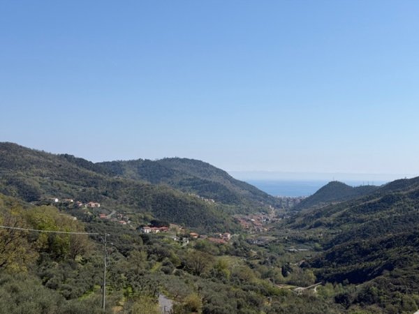 quadrivano in vendita a Magliolo