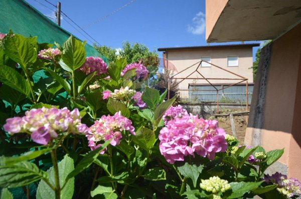 casa indipendente in vendita a Mallare in zona Codevilla