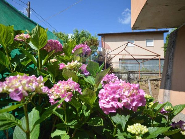 casa indipendente in vendita a Mallare in zona Codevilla