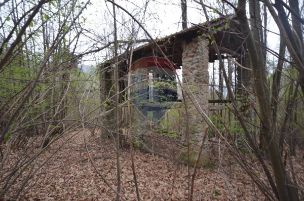 terreno agricolo in vendita a Mallare