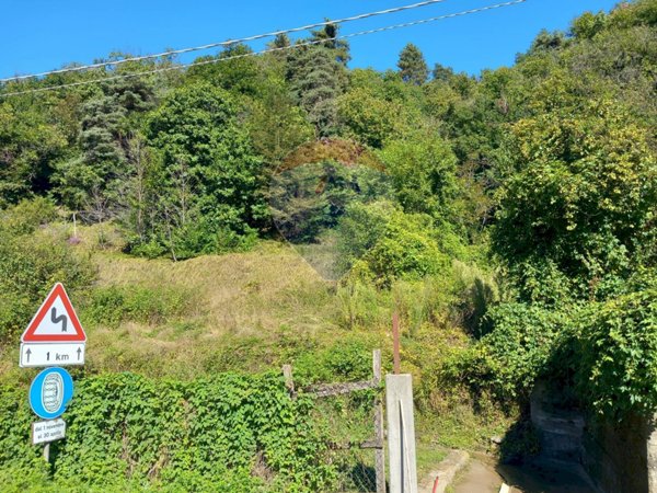 terreno edificabile in vendita a Mallare in zona Codevilla