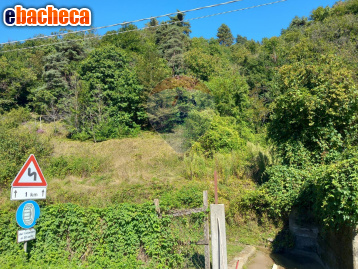 terreno edificabile in vendita a Mallare in zona Codevilla