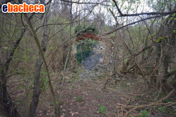 terreno agricolo in vendita a Mallare