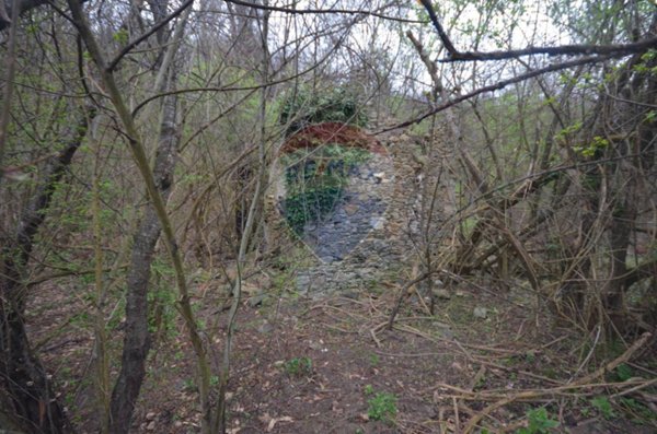 terreno agricolo in vendita a Mallare in zona Olano