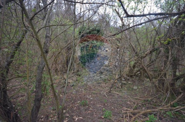 terreno agricolo in vendita a Mallare