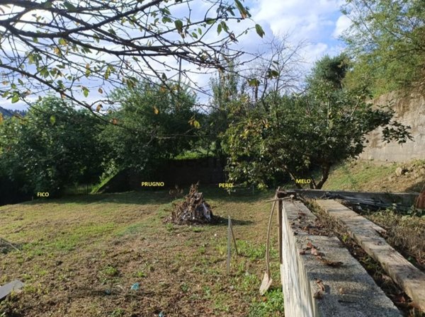 casa indipendente in vendita a Mallare in zona Olano