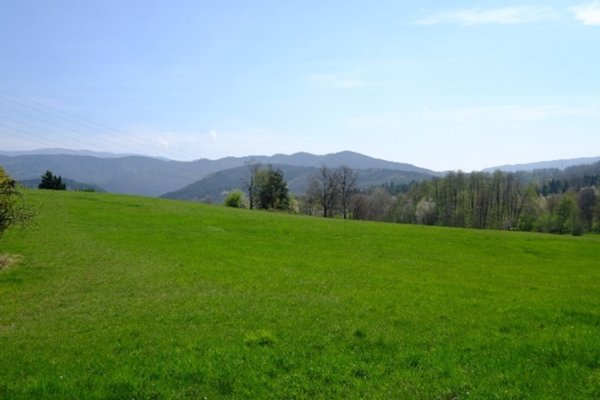 casa indipendente in vendita a Mioglia