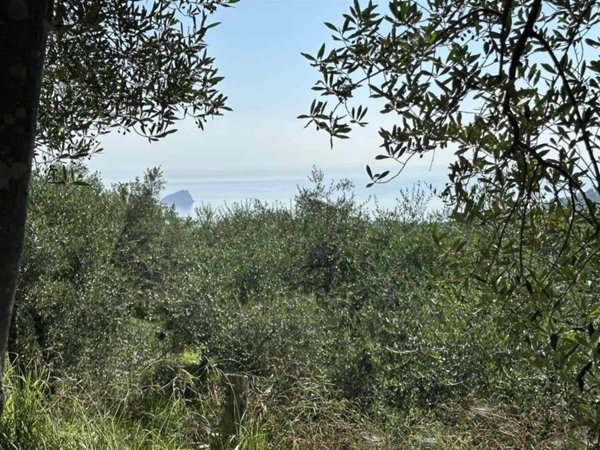terreno agricolo in vendita a Noli