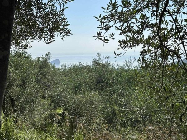 terreno agricolo in vendita a Noli