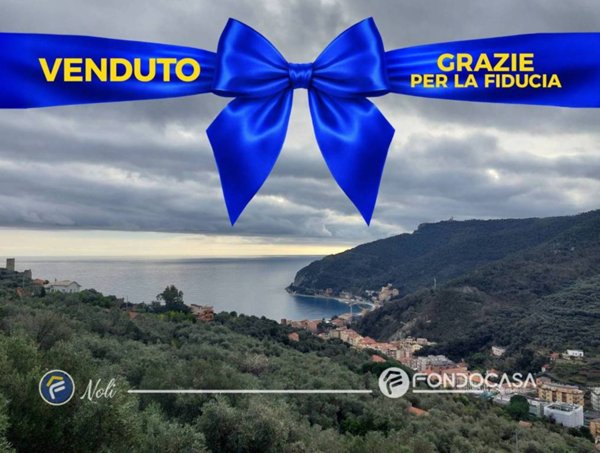 casa indipendente in vendita a Noli in zona Voze