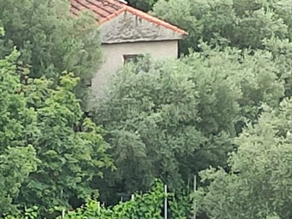 casa indipendente in vendita a Noli in zona Tosse
