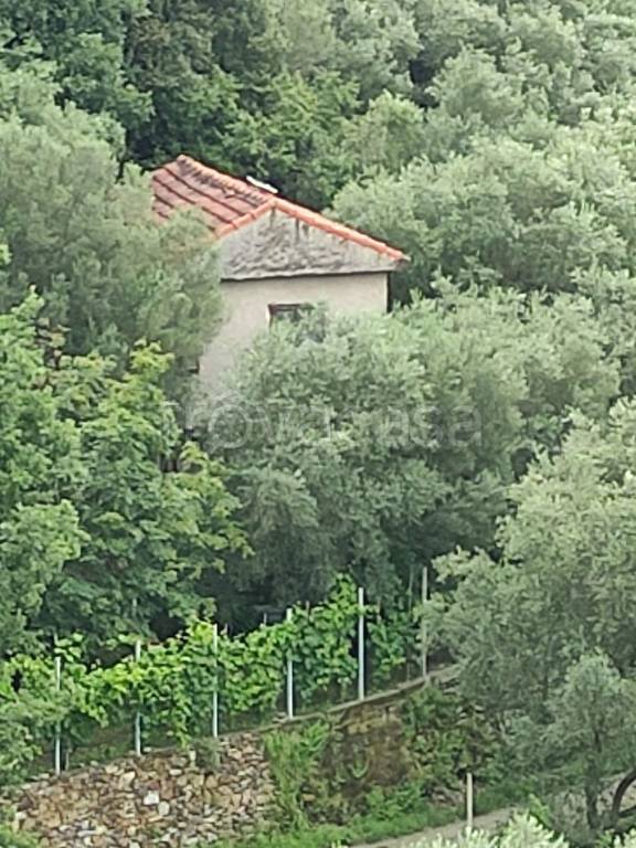 appartamento in vendita a Noli in zona Tosse