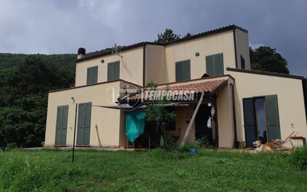 immagine annuncio 0 di 15