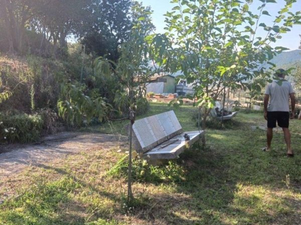 terreno agricolo in vendita a Noli in zona Voze