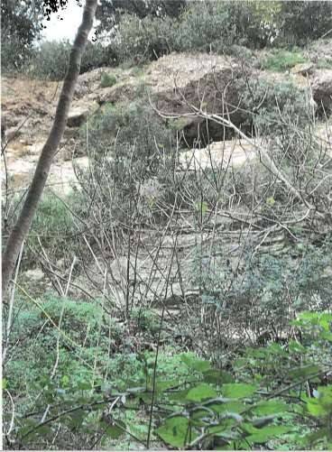 appartamento in vendita a Noli