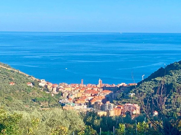 terreno agricolo in vendita a Noli in zona Voze