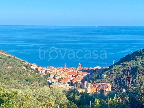 terreno agricolo in vendita a Noli in zona Voze