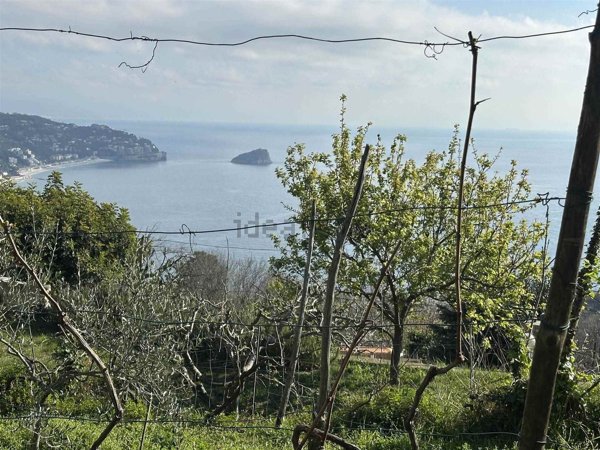 appartamento in vendita a Noli in zona Voze