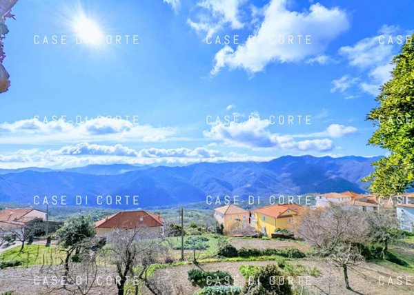 casa indipendente in vendita ad Onzo in zona Capitolo