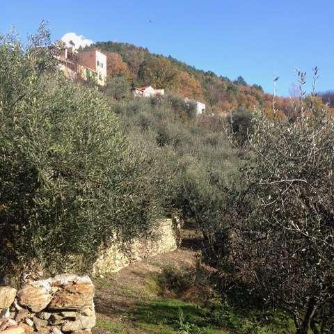 monolocale in vendita ad Orco Feglino