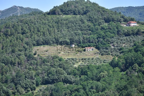 terreno edificabile in vendita ad Orco Feglino