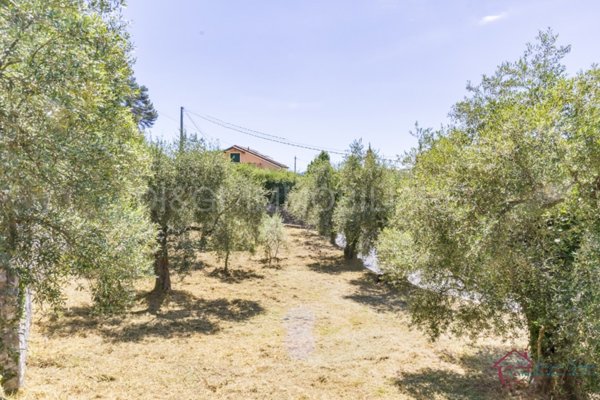 terreno edificabile in vendita ad Ortovero in zona Campi