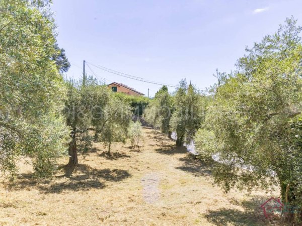 terreno edificabile in vendita ad Ortovero in zona Campi