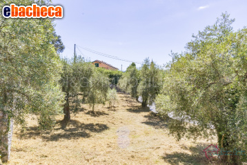 casa indipendente in vendita ad Ortovero in zona Campi