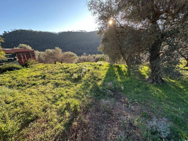 appartamento in vendita ad Ortovero in zona Campi