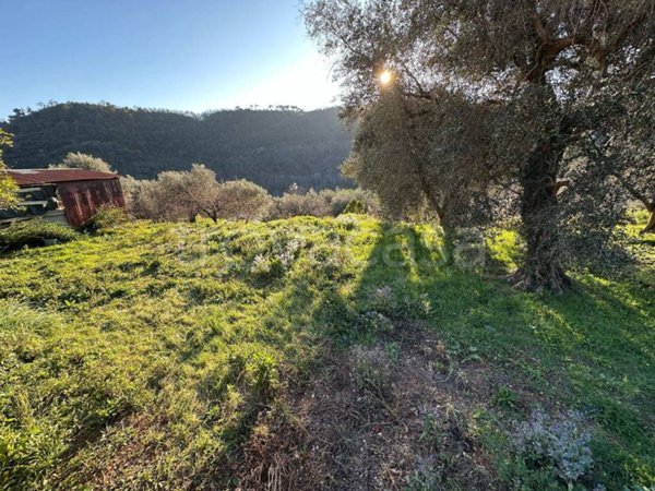 appartamento in vendita ad Ortovero in zona Campi