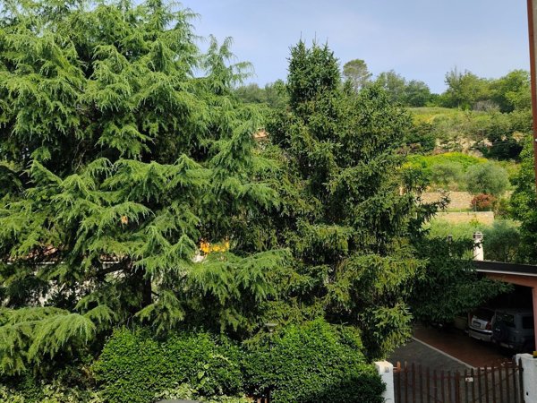 appartamento in vendita ad Ortovero