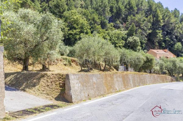 terreno edificabile in vendita ad Ortovero in zona Campi