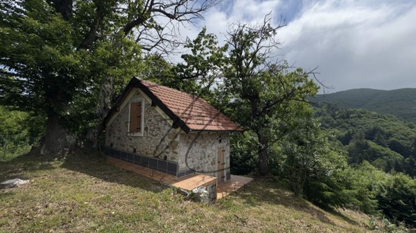 bivano in vendita ad Osiglia in zona Barberis