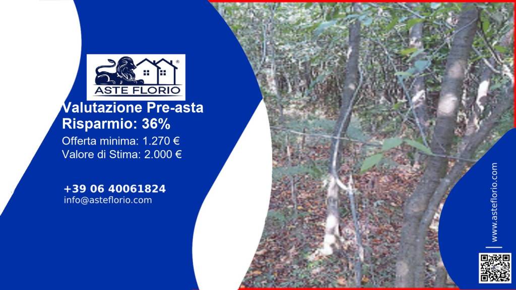 terreno agricolo in vendita a Pallare in zona Biestro