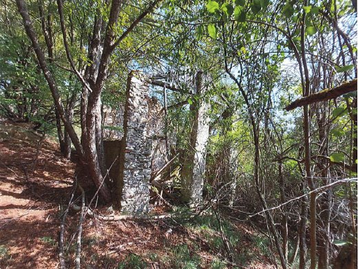 appartamento in vendita a Pallare