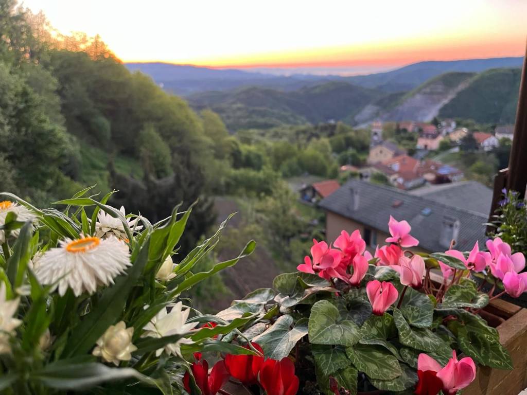 appartamento in vendita a Pallare in zona Biestro