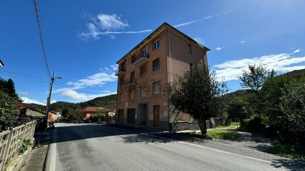 appartamento in vendita a Pallare