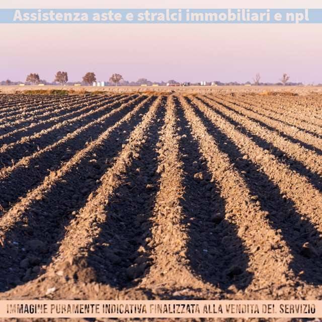 terreno agricolo in vendita a Pallare