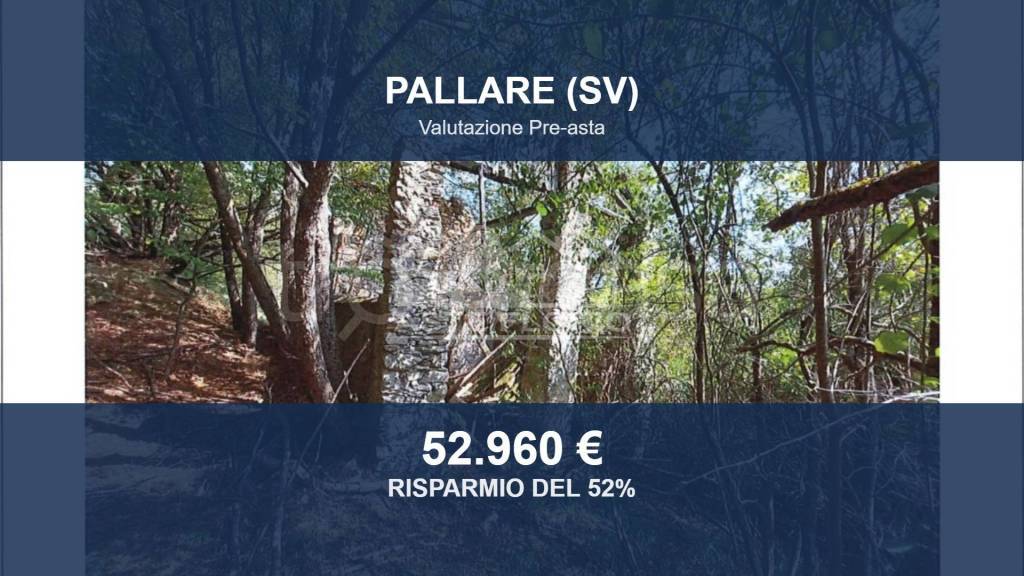 terreno agricolo in vendita a Pallare