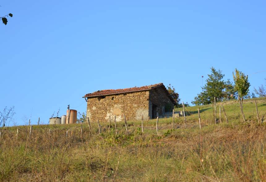 casa indipendente in vendita a Piana Crixia