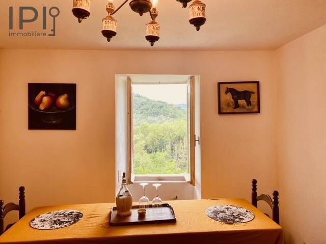 casa indipendente in vendita a Piana Crixia
