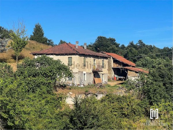 casale in vendita a Piana Crixia