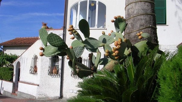 appartamento in vendita a Pietra Ligure