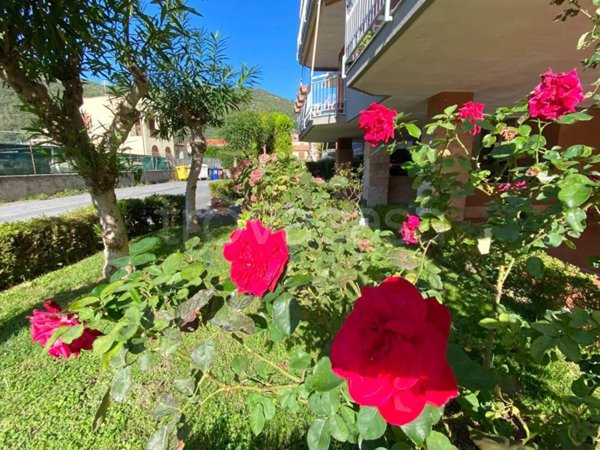 appartamento in vendita a Pietra Ligure
