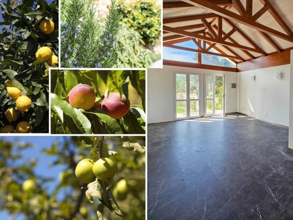 casa indipendente in vendita a Pietra Ligure