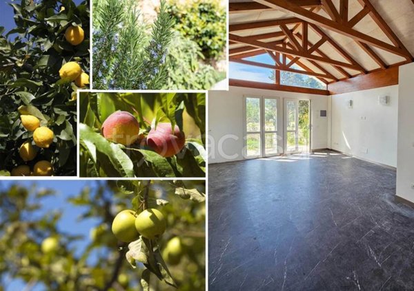 appartamento in vendita a Pietra Ligure