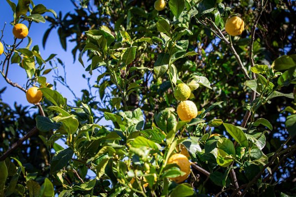 appartamento in vendita a Pietra Ligure