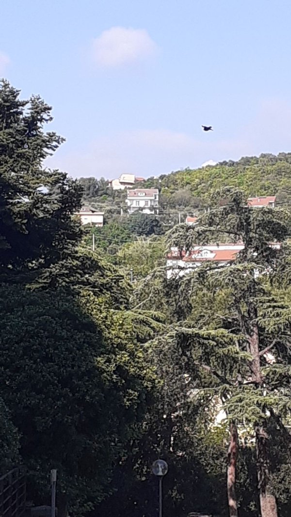 appartamento in vendita a Pietra Ligure