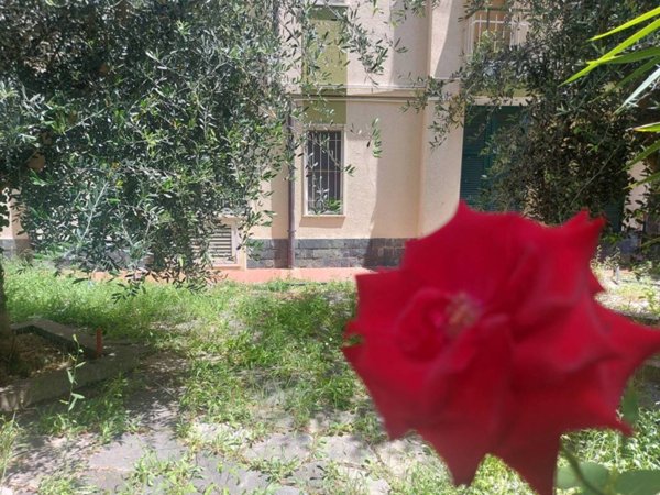 appartamento in vendita a Pietra Ligure in zona Santa Corona
